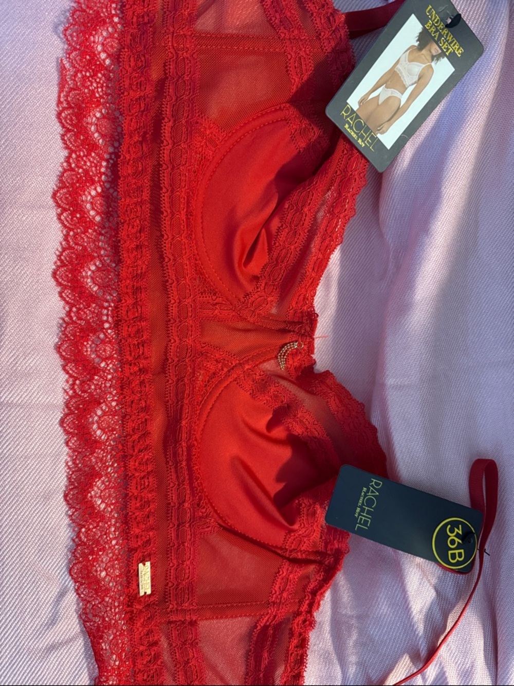 Rachel Red Lace Underwire Bra with Sheer Panels